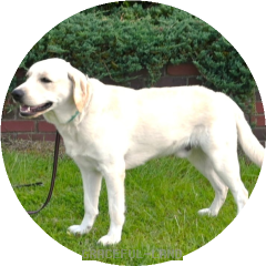 ジョージ2 202306